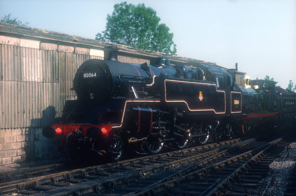 80064 in bright sunshine alongside a timber shed, with other engines coupled behind it.