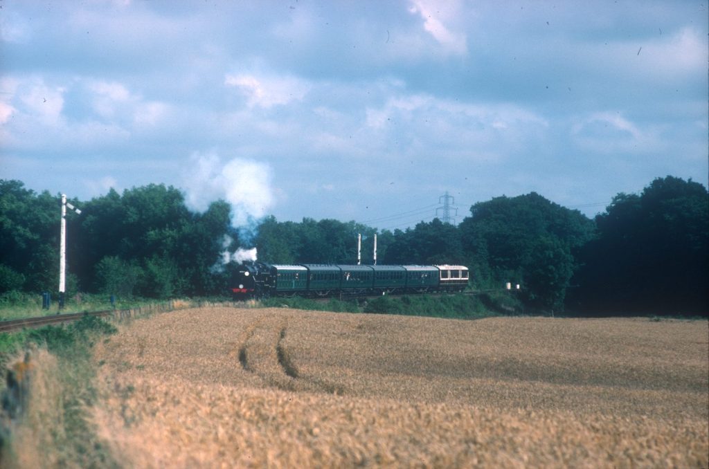 80064 in the distance with a short train and a plume of steam, beyond a golden field of corn.