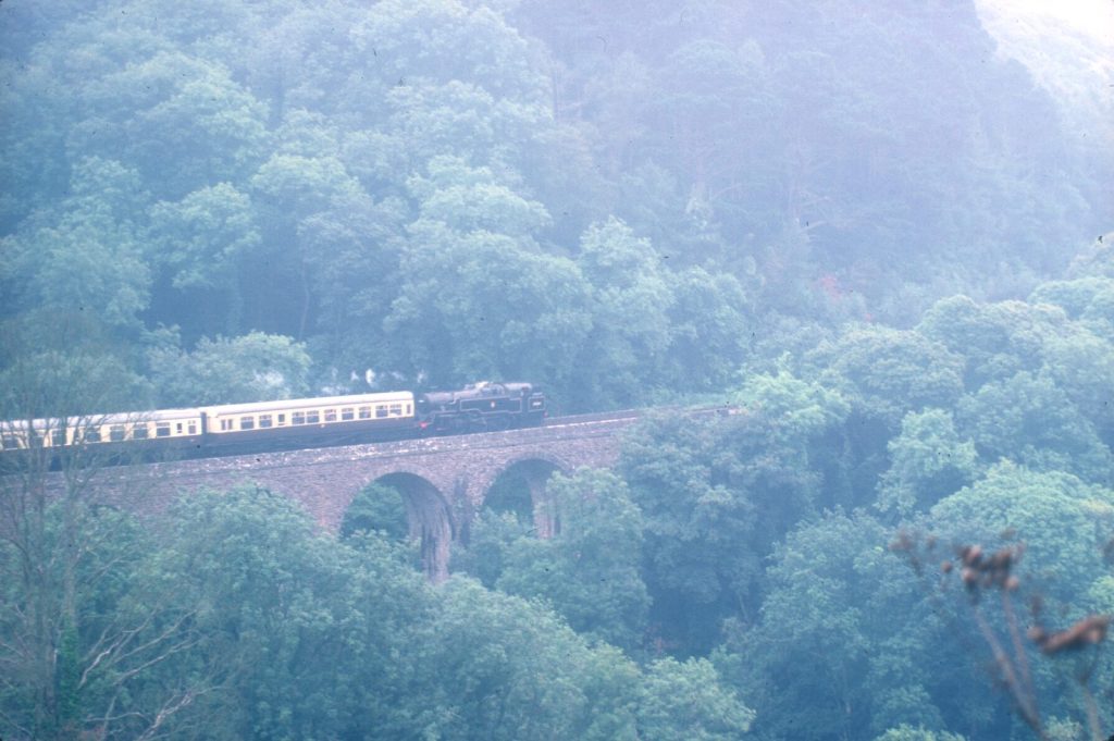 80064 hauling chocolate and cream coaches across a stone viaduct surrounded by thick woodland.