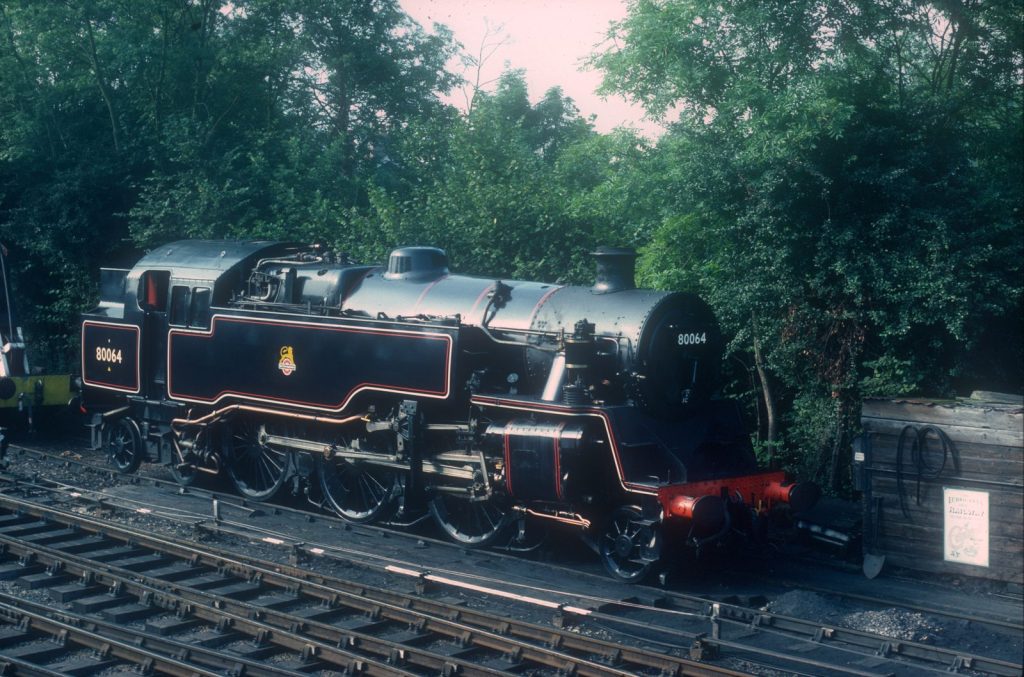 Side view of 80064 in polished lined black, standing on a track in a tree-lined yard.